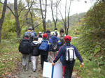 2008_1102山歩き0016.jpg